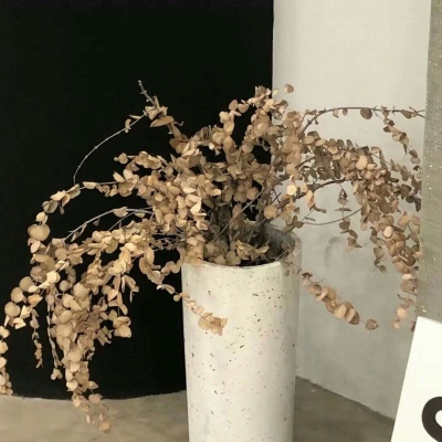 Furry插画细节灵感福瑞群